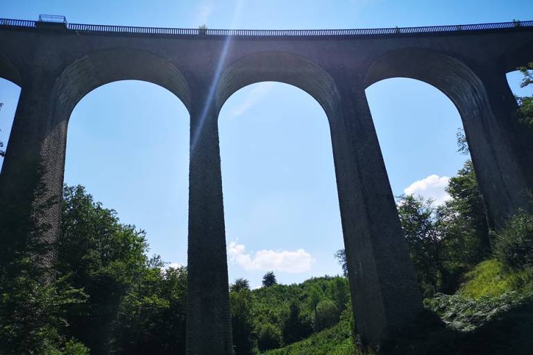 Circuit VTT 22km - Le Gour de l'Annet image1
