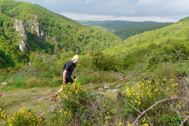 Spot Trail de La Bosse - Les sources de la Gourdonne image1