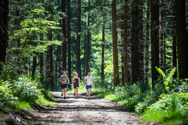 Spot Trail de La Bosse - De La Bouble aux Colettes image2