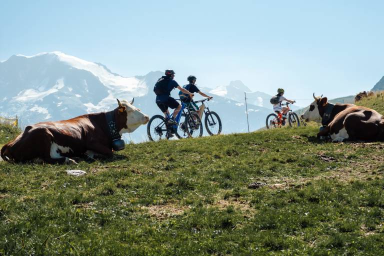 Mountain Bike Route No. 2 – The Saint-Nicolas Escape image1