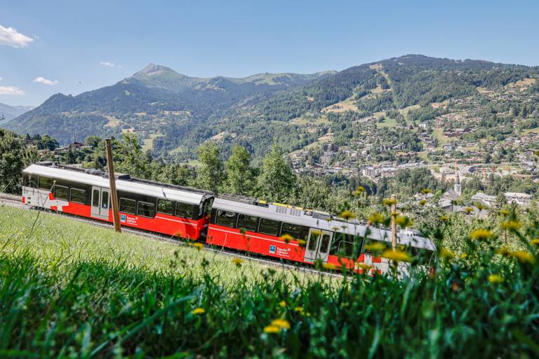 Parcours VTT n°3 _  A la découverte du Tramway du Mont-Blanc - ROUGE image1
