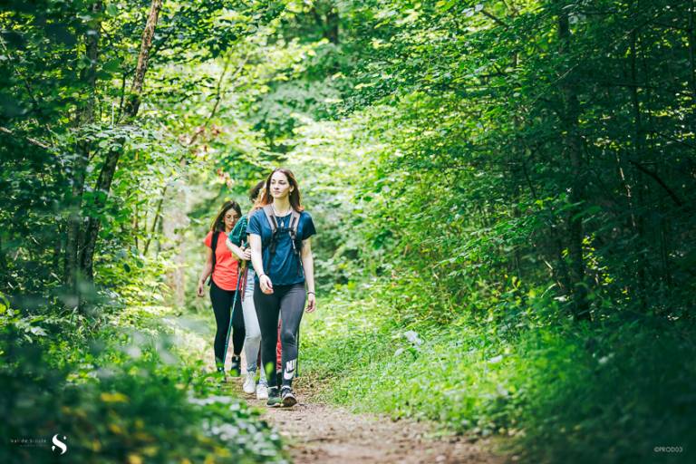 Circuit VTT - Le chemin des Vieilles-Ventes - 8.5 km image1