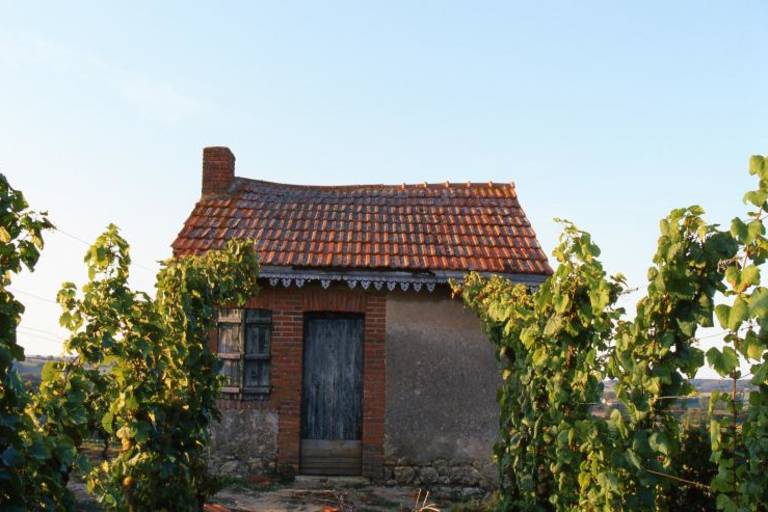 Les vignes de Saulcet - 6.5 km image1