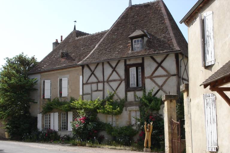 Les ceps centenaires - 5 km image2