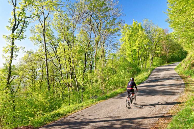 Mont du Chat cyclo climb (Le Bourget-du-Lac side) image1