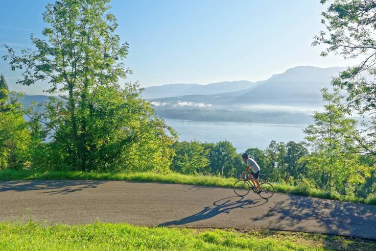 Mont du Chat cyclo climb (Le Bourget-du-Lac side) image2