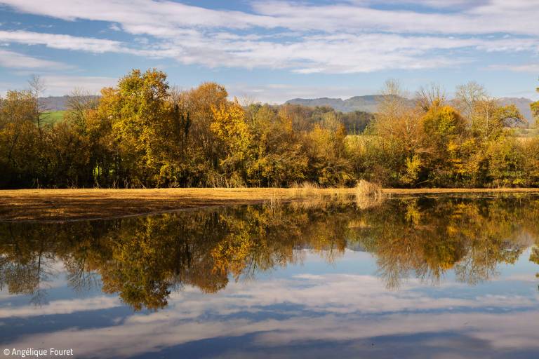 Circuit 10 "Entre monts et étangs" (Centre VTT-FFC de l'Albanais) image1