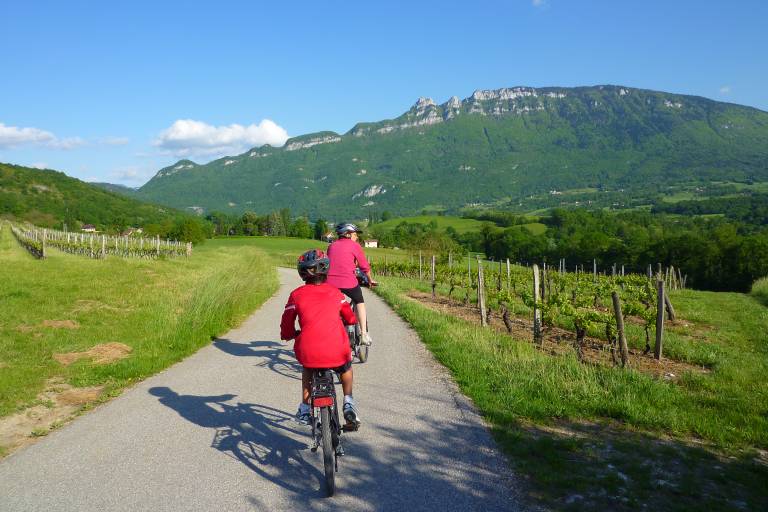 Le Vignoble de Jongieux, un paysage à déguster à vélo image2