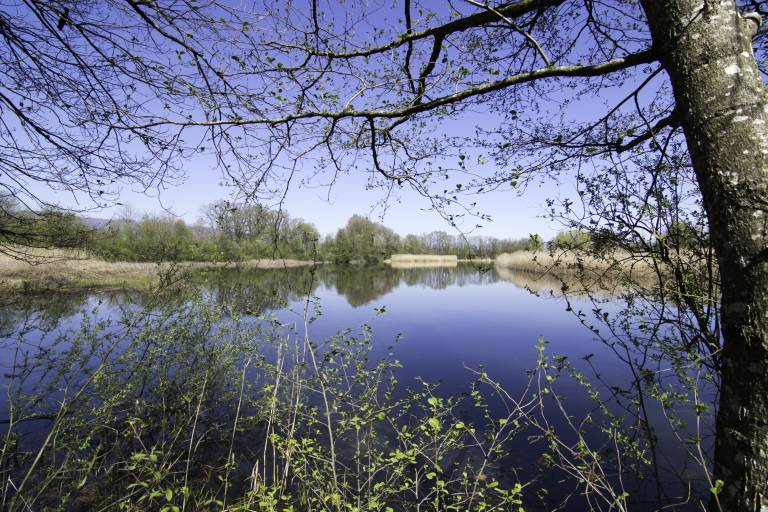 Entre lac et étang image2