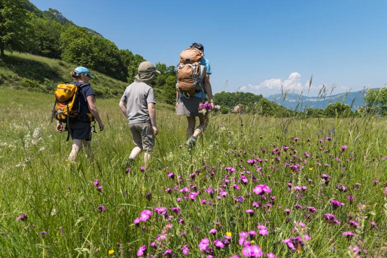 Le Chat Trail image1