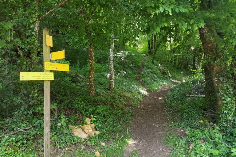 Les Villards Trail image2