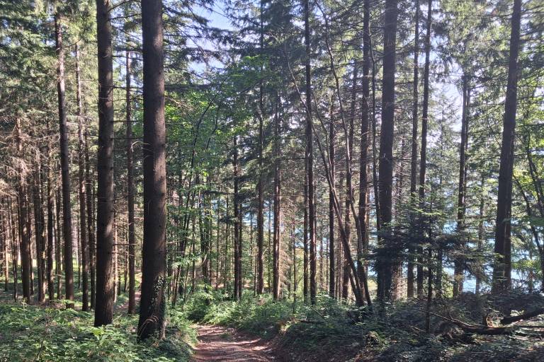 Les Villards Trail image1