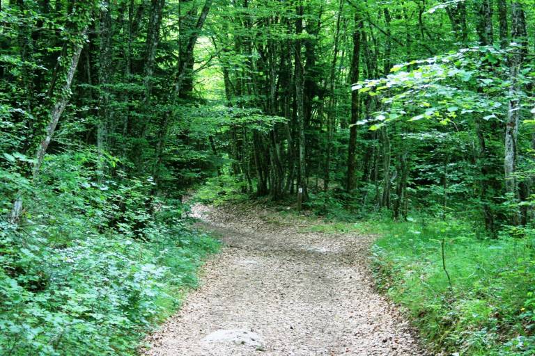 Le Mont Trail image1
