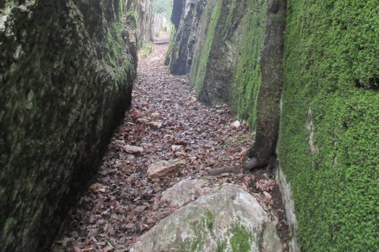 Sentier pédestre de Rochetaillée image2