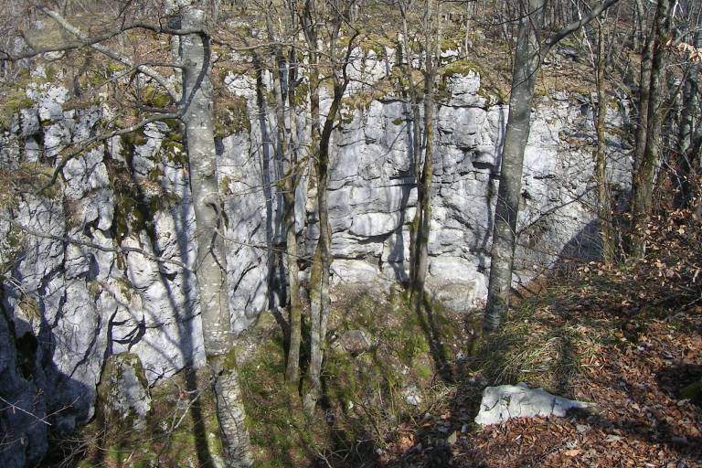 Sentier pédestre du Mont Clergeon - petite boucle image1
