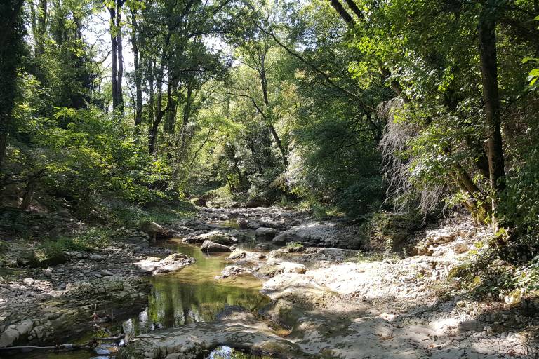 Hiking : Gorges du Sierroz link image1