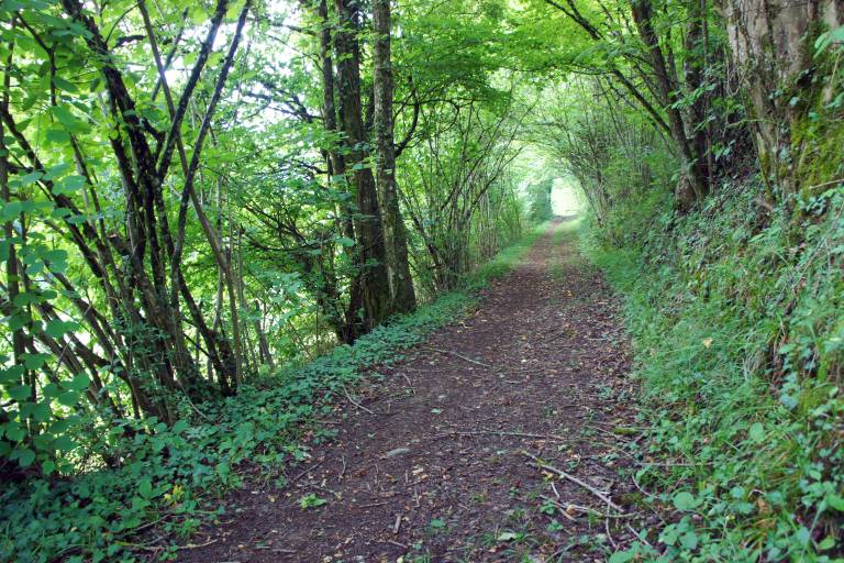 Promenade à pied Grésy-Mouxy image1