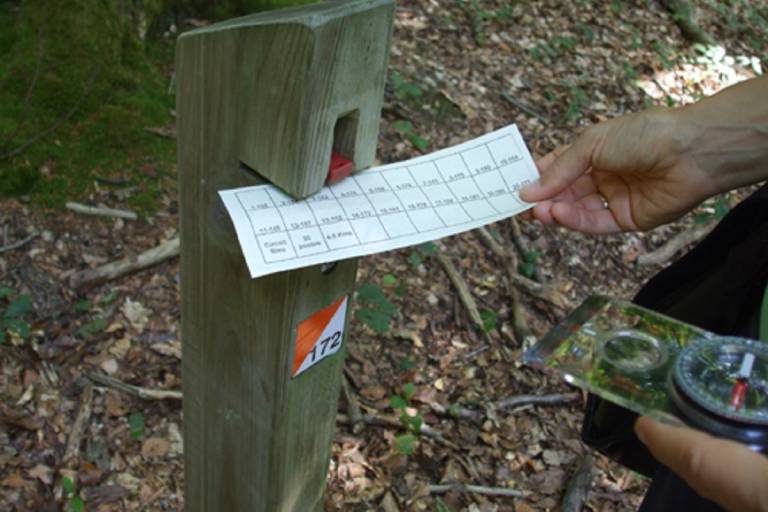 Parcours ludique d'orientation des Fayes image2