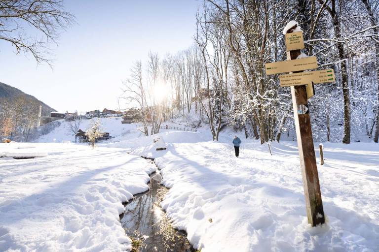 Promenade dans le parc des Dérêches en Hiver image1