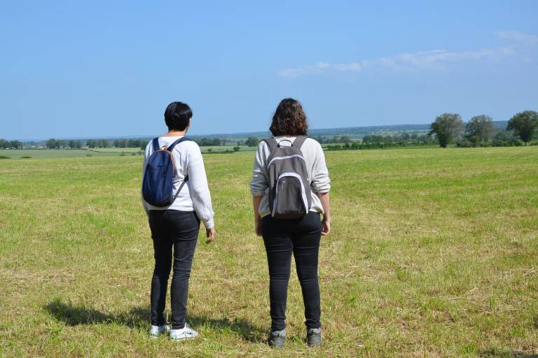 PR 14 : Circuit des Bois et Bruyères image1