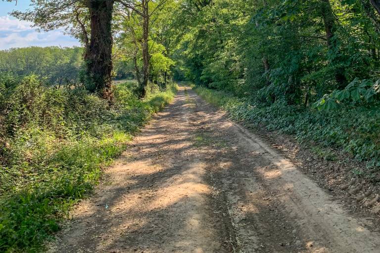 PR 14 : Circuit des Bois et Bruyères image2