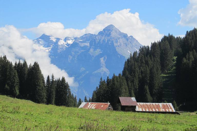 Itinéraire pédestre : lac de Gers depuis Lédedian image1