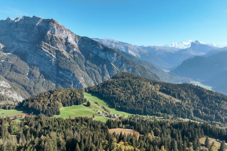 Alpine pasture - Les Rutines image1