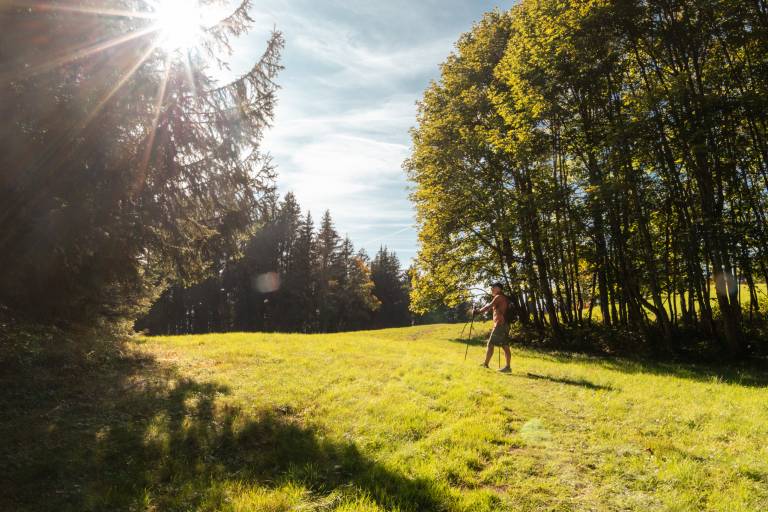 Alpine pasture - Les Rutines image2