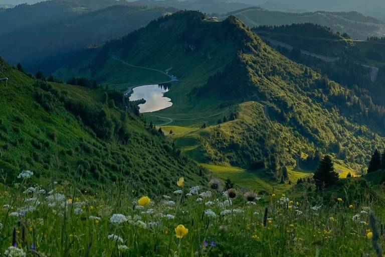 Walking itinerary: the pointe d'Angolon image2