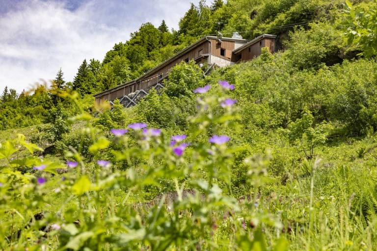 Itinéraire pédestre : rando'bus Samoëns - Cirque du Fer à Cheval par le Refuge de Folly image1