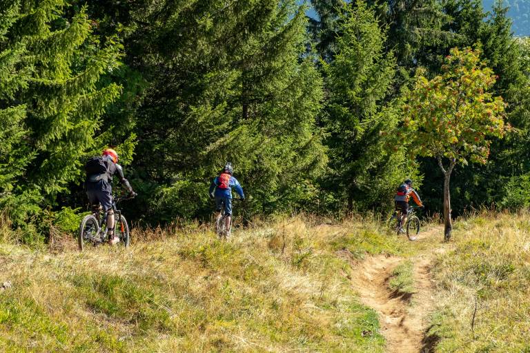 Itinéraire VTT de descente - Le Grand Crêt image2