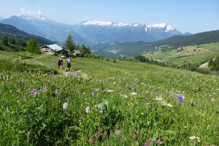 Grand Tour de Tarentaise - Hiking 27 days image1