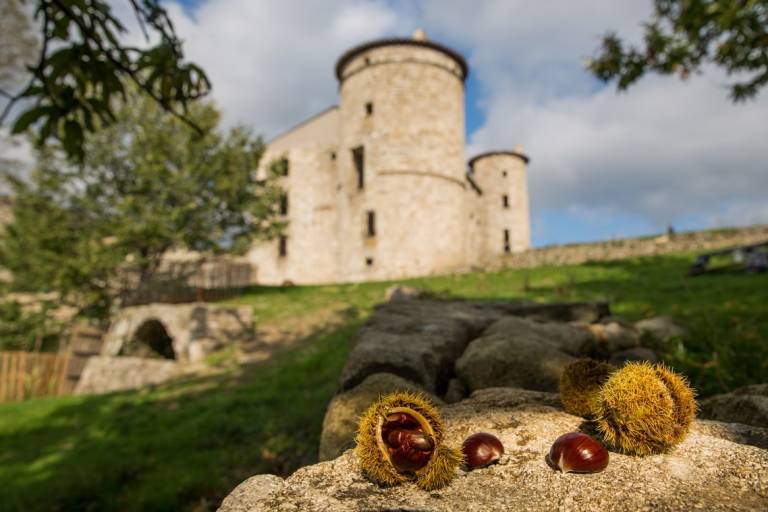 Antraïgues-Château de Craux image1
