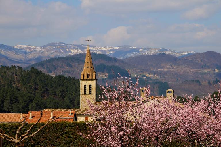 Hiking : A walk through the pine trees - St-Julien-du-Serre image1