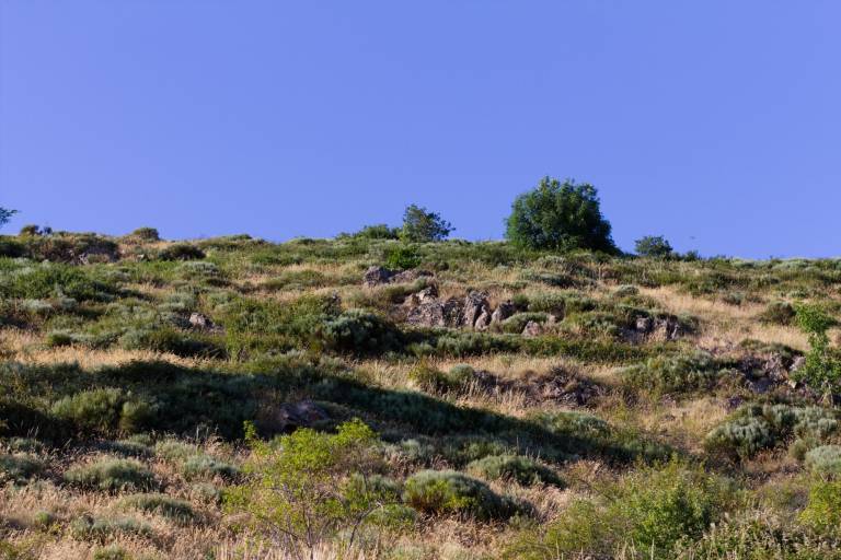Le sentier géologique de St-Etienne de Boulogne image1