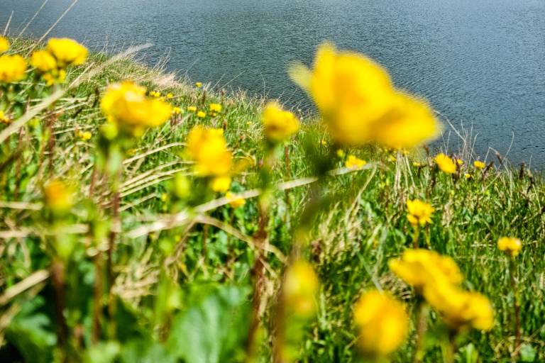 Hiking trail: the Lac du Clou image1