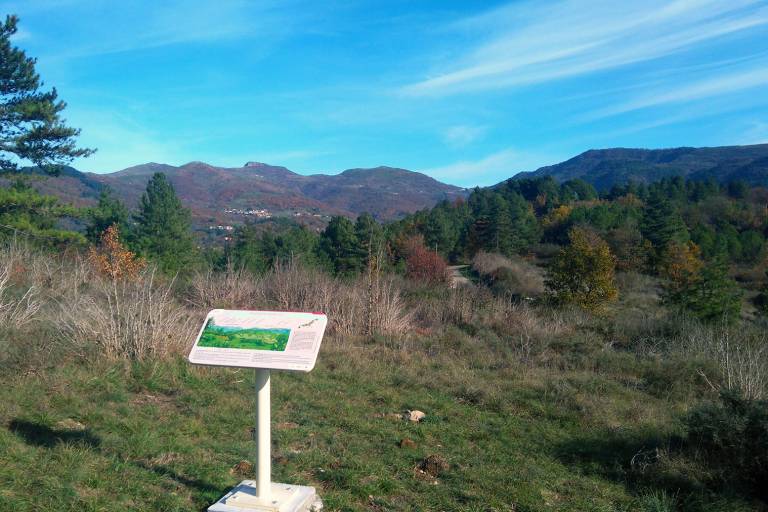 Boucle 1 - vert (Vesseaux) image2