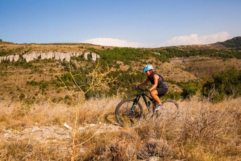 Boucle 2 - vert (Vesseaux) image1