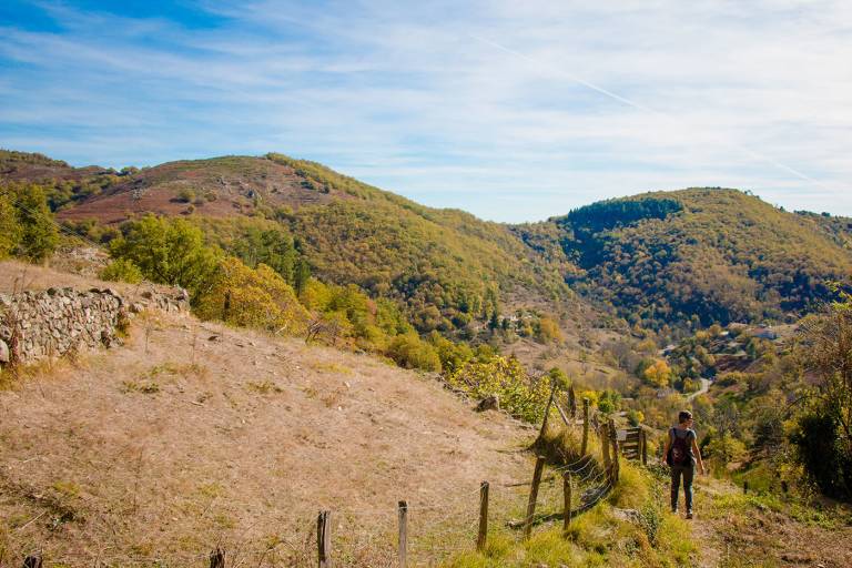 Faïsses et châtaigniers image2