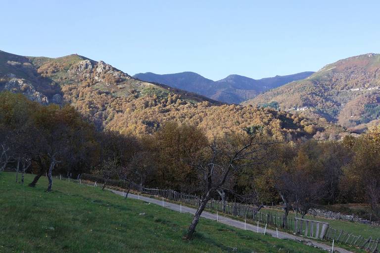 Les Champeaux image2