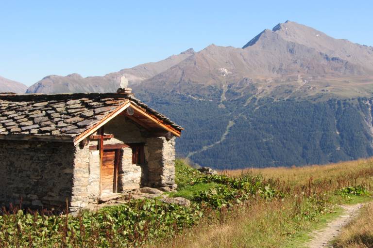 Tour des Glaciers de la Vanoise - Rando pédestre de 4 à 7 jours image1