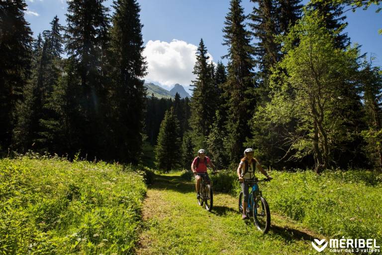 VAE1 - The Tueda Loop image1