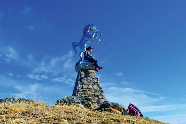 Le cheval Noir (Sauce) image1