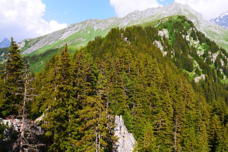 Tour du Merle hiking trail (downhill pass) image2