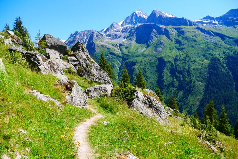 Walking route: L'Alpage de Lécheron image1