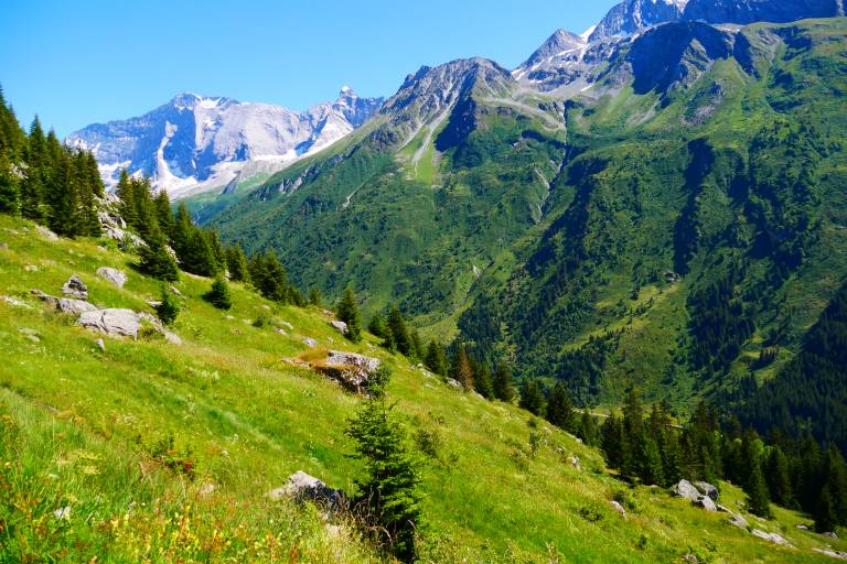 Walking route: L'Alpage de Lécheron image2