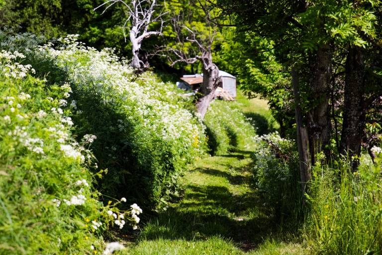 R1 - Forest of Villarlurin From le Villard image1