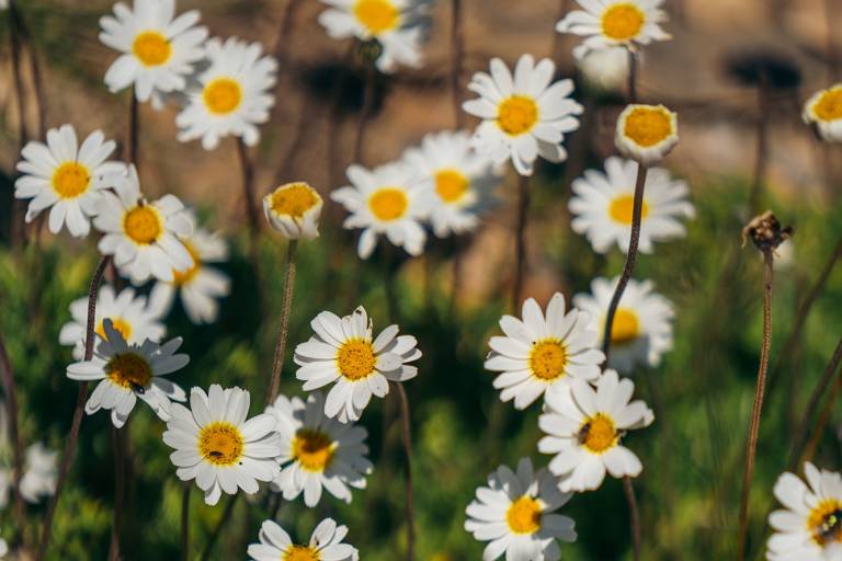 Boucle de Mateigena image1