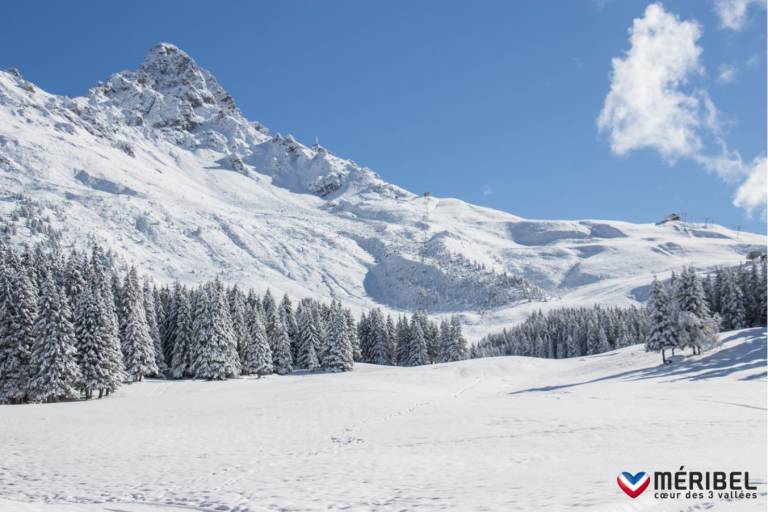 Sentier piéton - Hiver "Pic noir" image1