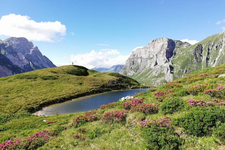 Les alpages du Vallon de Chavière - Stage 1 - Aparcamiento Prioux - Refugio Roche de la Pêche image1